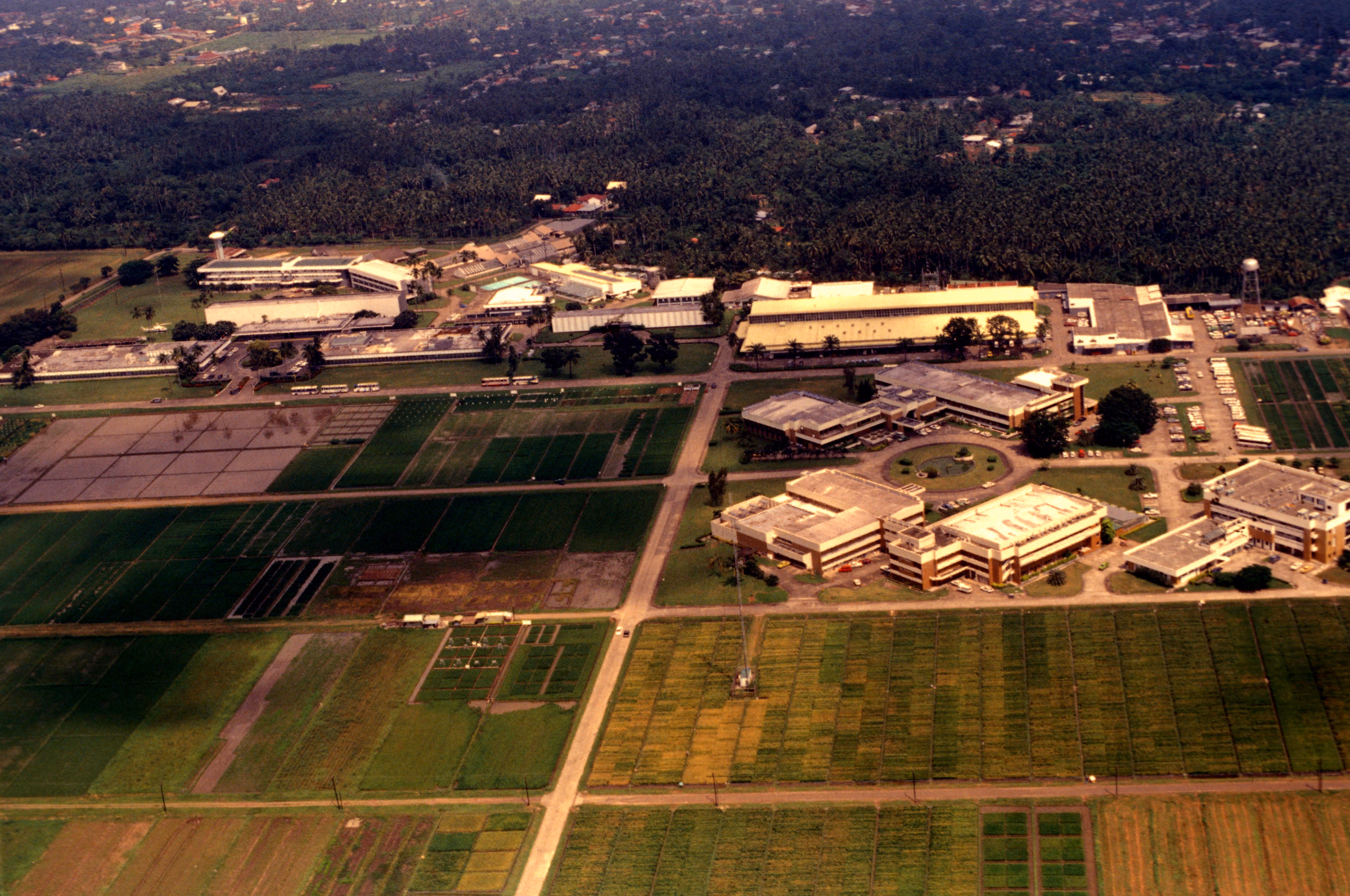 Aerial view of the International Rice Research Institute compound in Los Baños